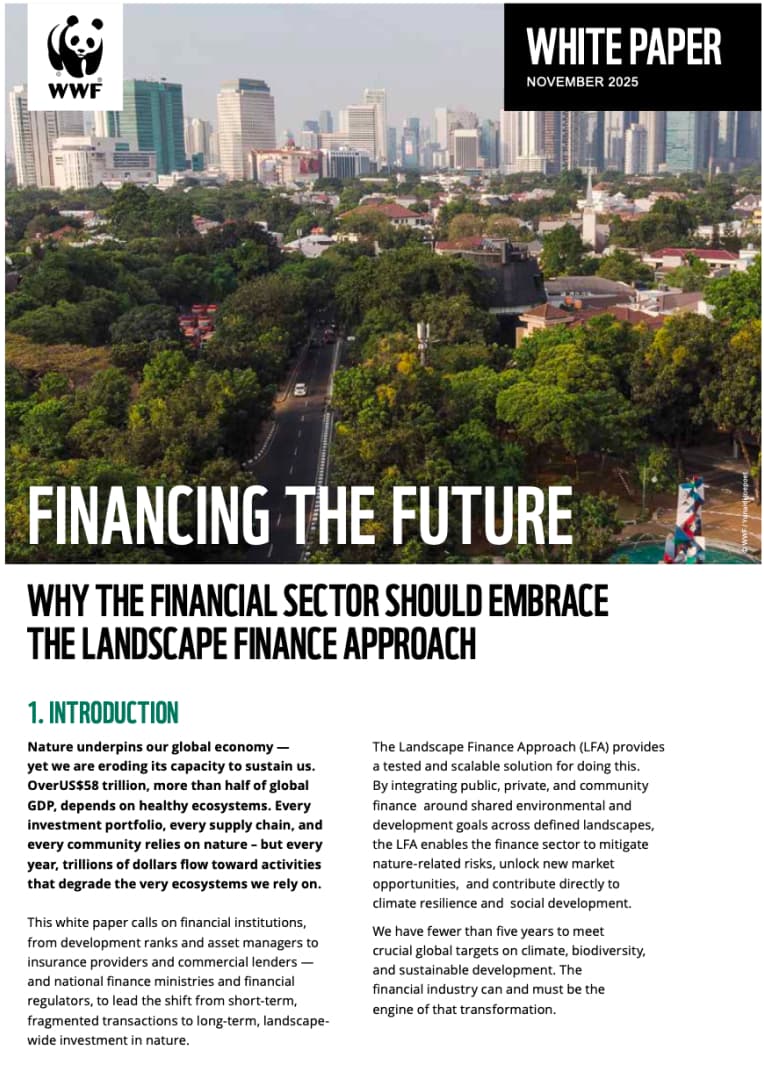 Personal Portfolio Images